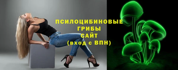 амф Аркадак