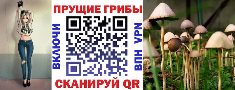 Галлюциногенные грибы Psilocybine cubensis  Пугачёв 